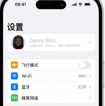 铁岭appleID维修服务iPhone设置中Apple ID显示为灰色无法使用 