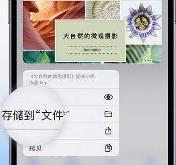 铁岭apple维修中心分享iPhone文件应用中存储和找到下载文件