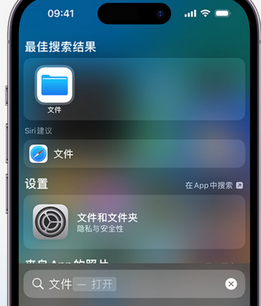 铁岭apple维修中心分享iPhone文件应用中存储和找到下载文件 