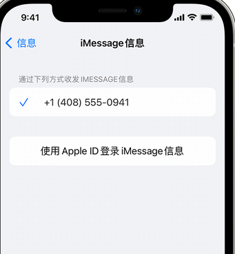 铁岭apple维修iPhone上无法正常发送iMessage信息 