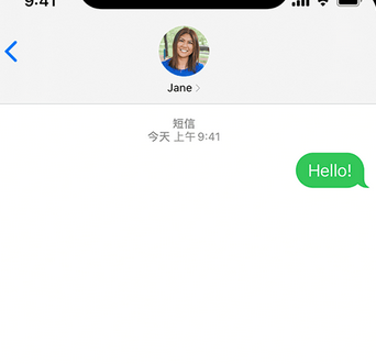 铁岭apple维修iPhone上无法正常发送iMessage信息