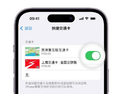 铁岭apple维修点分享iPhone上更换Apple Pay快捷交通卡手绘卡面 