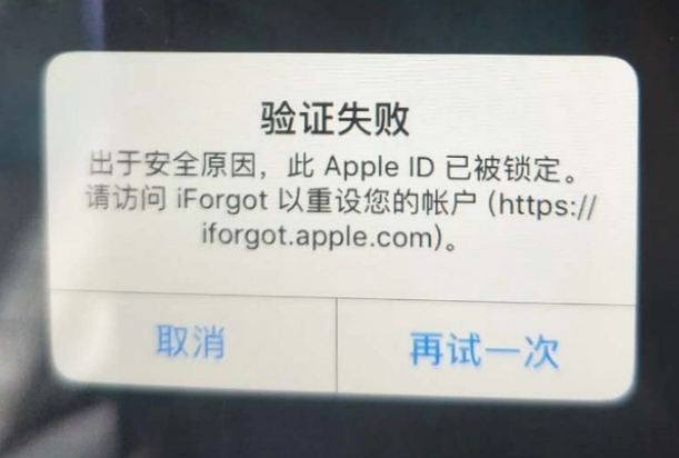 铁岭iPhone维修分享iPhone上正常登录或使用AppleID怎么办 