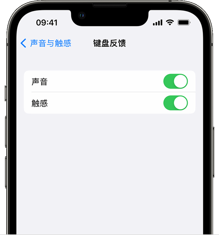 铁岭苹果14维修店分享如何在 iPhone 14 机型中使用触感键盘 