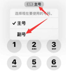 铁岭苹果14维修店分享iPhone 14 Pro Max使用副卡打电话的方法 