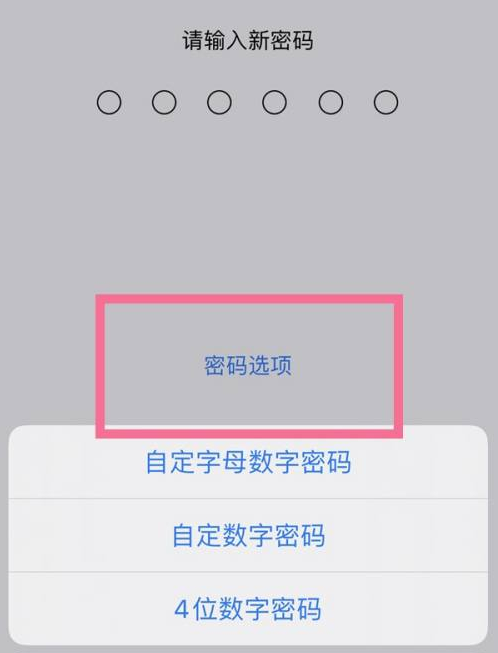 铁岭苹果14维修分享iPhone 14plus设置密码的方法 