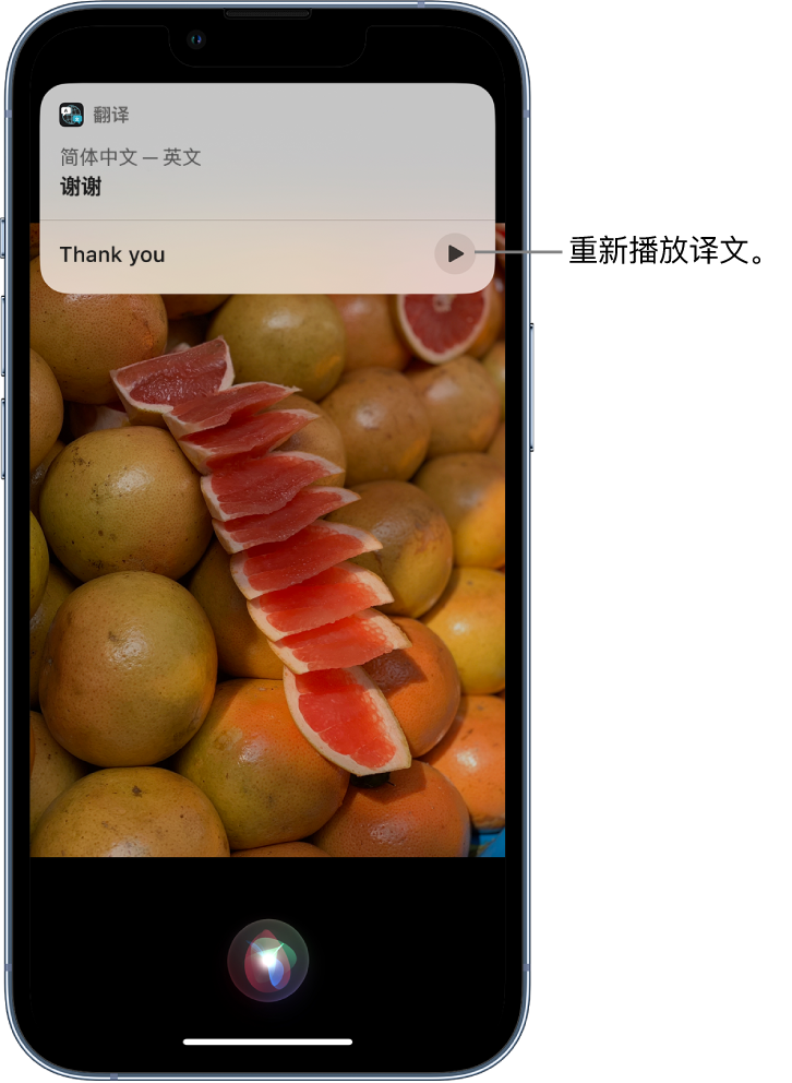 铁岭苹果14维修分享 iPhone 14 机型中使用 Siri：了解 Siri 能帮你做什么 