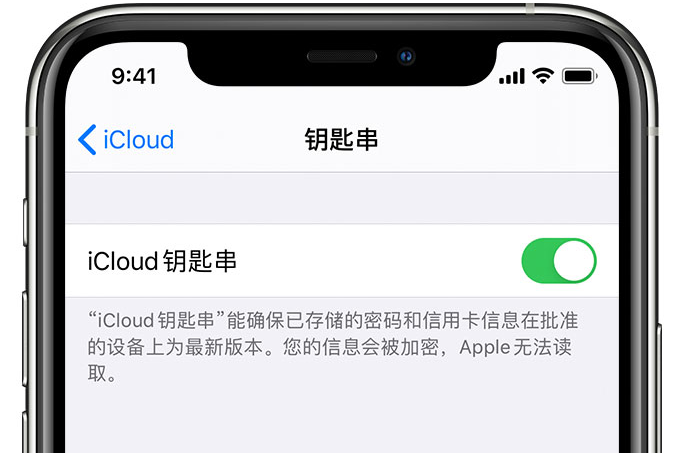 铁岭苹果手机维修分享在 iPhone 上开启 iCloud 钥匙串之后会储存哪些信息 