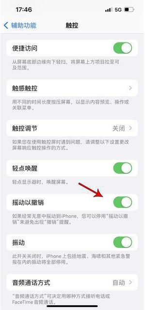 铁岭苹果手机维修分享iPhone手机如何设置摇一摇删除文字 