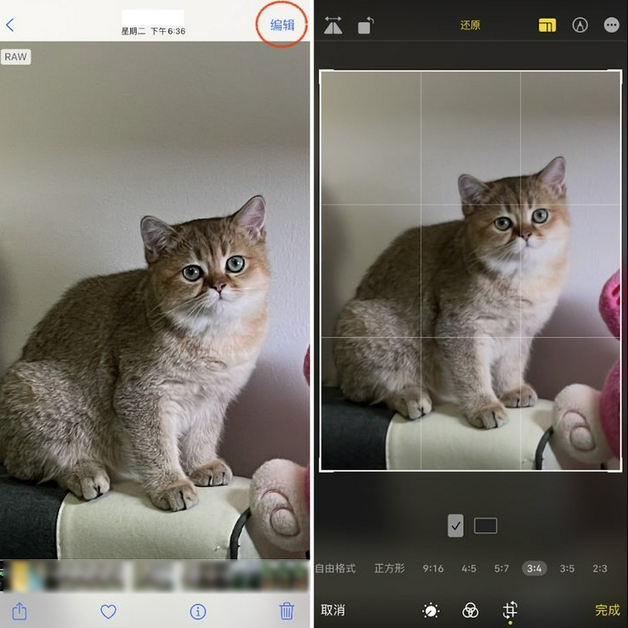 铁岭苹果手机维修分享苹果 iPhone 12 Pro 拍照会过度锐化 