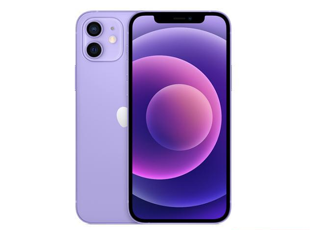 铁岭苹果手机维修分享现阶段要不要入手紫色版iPhone12 