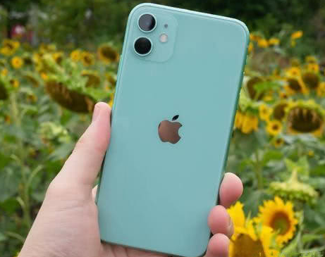 铁岭苹果维修点分享iPhone 11锁屏密码认知与使用科普 