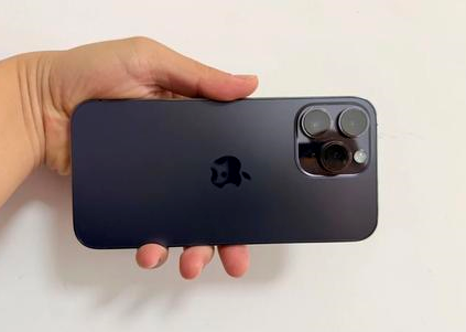 铁岭苹果维修点分享iPhone 14 Pro Max黑屏少见故障盘点 